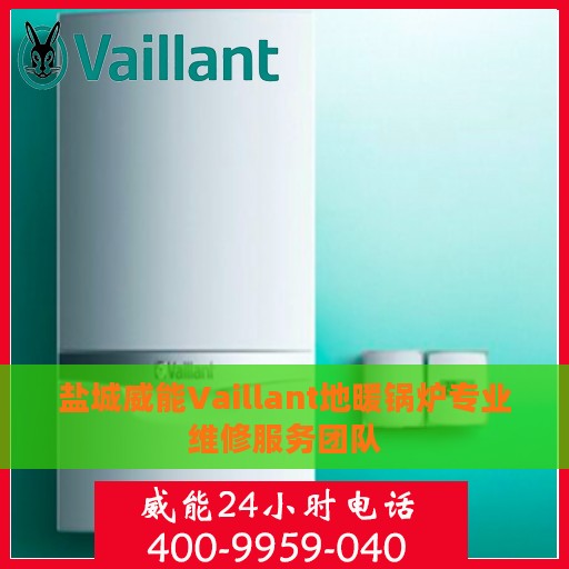 盐城威能Vaillant地暖锅炉专业维修服务团队