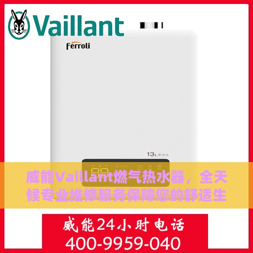 威能Vaillant燃气热水器，全天候专业维修服务保障您的舒适生活