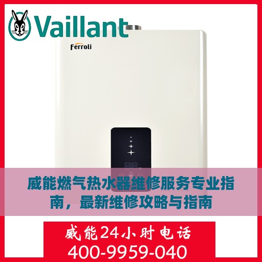 威能燃气热水器维修服务专业指南，最新维修攻略与指南