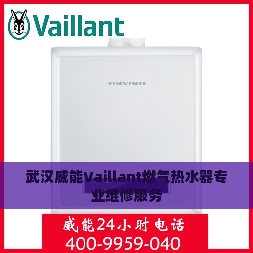 武汉威能Vaillant燃气热水器专业维修服务