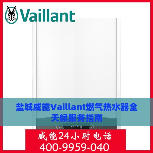 盐城威能Vaillant燃气热水器全天候服务指南