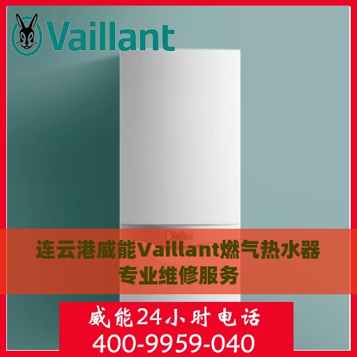 连云港威能Vaillant燃气热水器专业维修服务