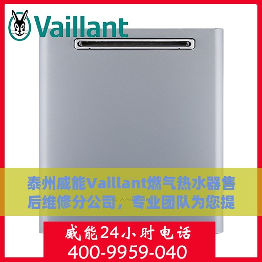 泰州威能Vaillant燃气热水器售后维修分公司，专业团队为您提供贴心服务