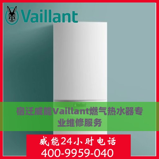 宿迁威能Vaillant燃气热水器专业维修服务
