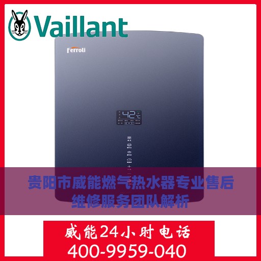 贵阳市威能燃气热水器专业售后维修服务团队解析