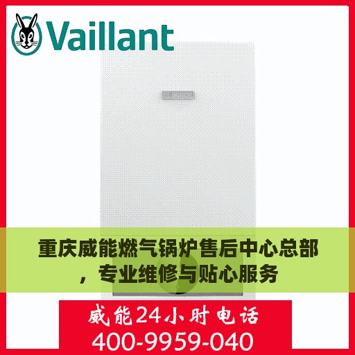重庆威能燃气锅炉售后中心总部，专业维修与贴心服务