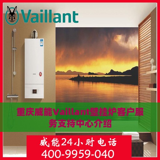 重庆威能Vaillant壁挂炉客户服务支持中心介绍