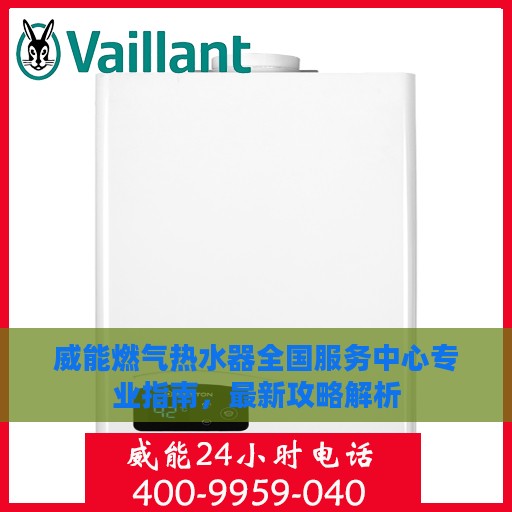 威能燃气热水器全国服务中心专业指南，最新攻略解析