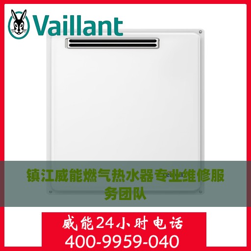 镇江威能燃气热水器专业维修服务团队