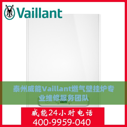 泰州威能Vaillant燃气壁挂炉专业维修服务团队