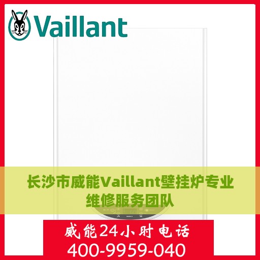 长沙市威能Vaillant壁挂炉专业维修服务团队