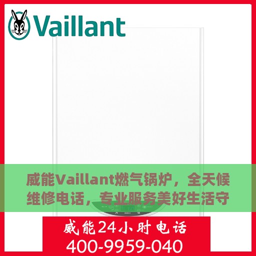 威能Vaillant燃气锅炉，全天候维修电话，专业服务美好生活守护者