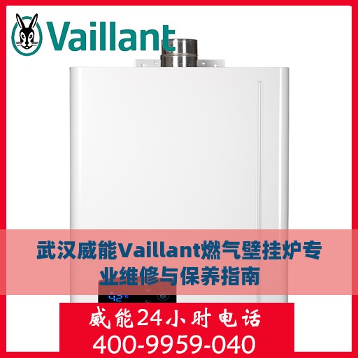 武汉威能Vaillant燃气壁挂炉专业维修与保养指南