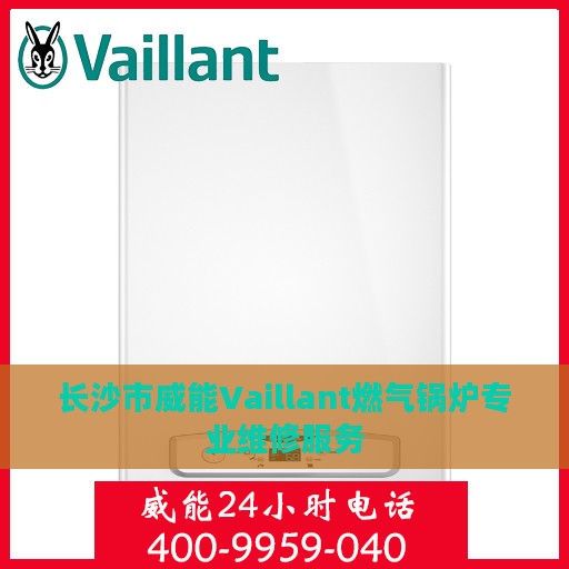 长沙市威能Vaillant燃气锅炉专业维修服务