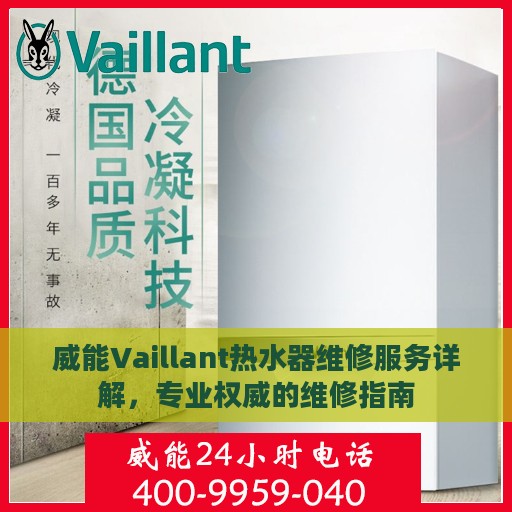 威能Vaillant热水器维修服务详解，专业权威的维修指南
