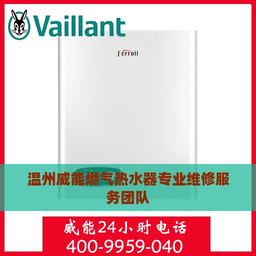 温州威能燃气热水器专业维修服务团队