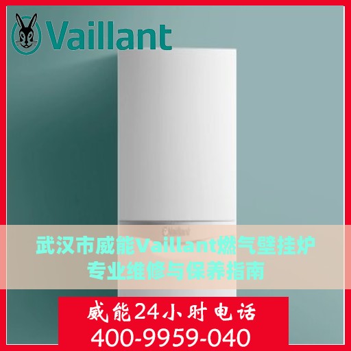 武汉市威能Vaillant燃气壁挂炉专业维修与保养指南