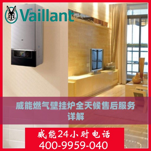 威能燃气壁挂炉全天候售后服务详解