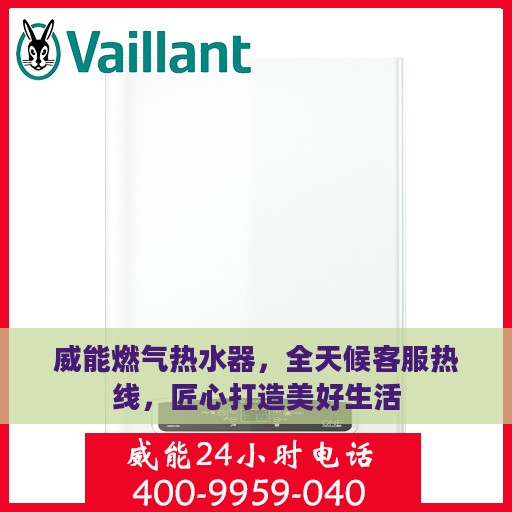 威能燃气热水器，全天候客服热线，匠心打造美好生活