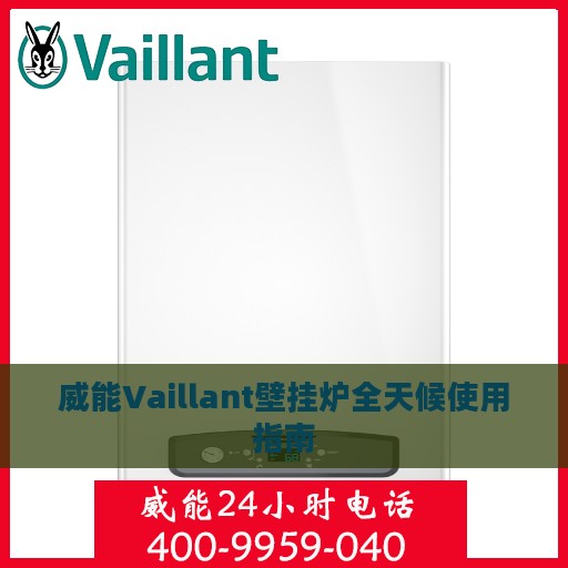 威能Vaillant壁挂炉全天候使用指南