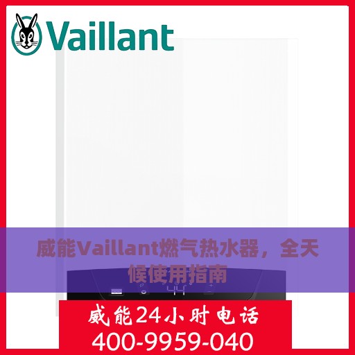威能Vaillant燃气热水器，全天候使用指南