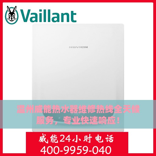 温州威能热水器维修热线全天候服务，专业快速响应！