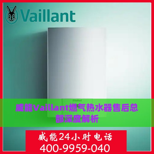 威能Vaillant燃气热水器售后总部深度解析