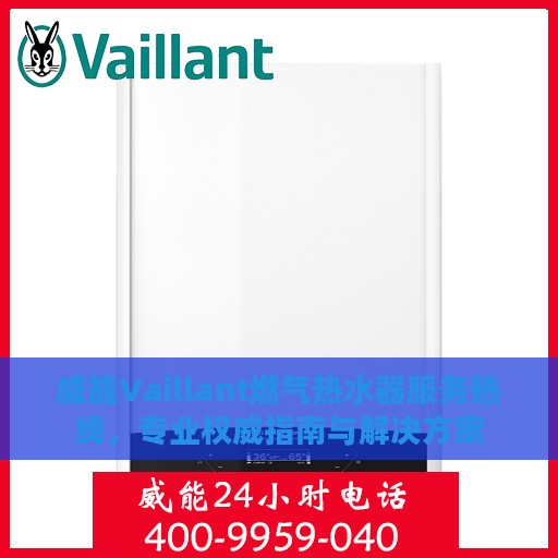 威能Vaillant燃气热水器服务热线，专业权威指南与解决方案