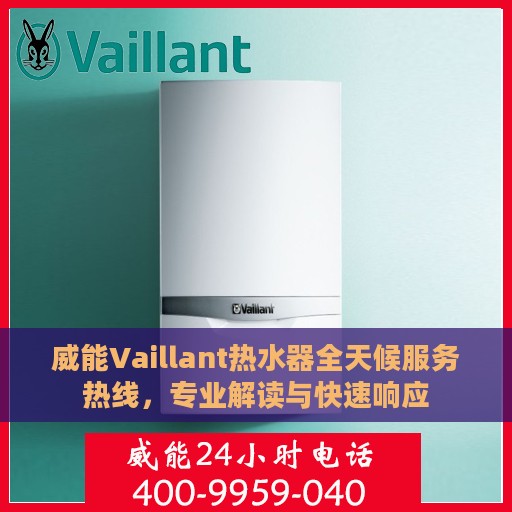 威能Vaillant热水器全天候服务热线，专业解读与快速响应