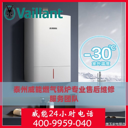 泰州威能燃气锅炉专业售后维修服务团队