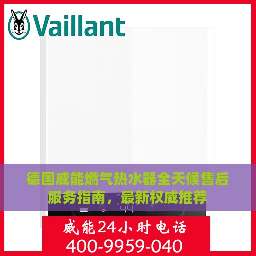 德国威能燃气热水器全天候售后服务指南，最新权威推荐