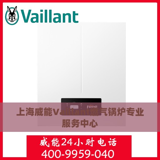 上海威能Vaillant燃气锅炉专业服务中心