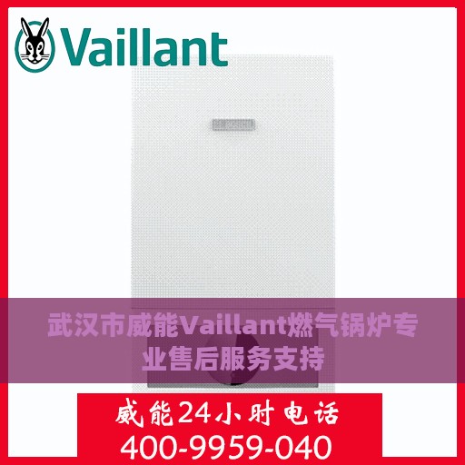 武汉市威能Vaillant燃气锅炉专业售后服务支持