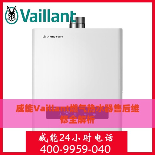威能Vaillant燃气热水器售后维修全解析