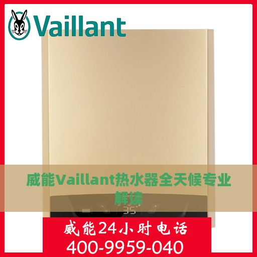 威能Vaillant热水器全天候专业解读