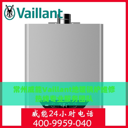 常州威能Vaillant地暖锅炉维修热线专业服务团队