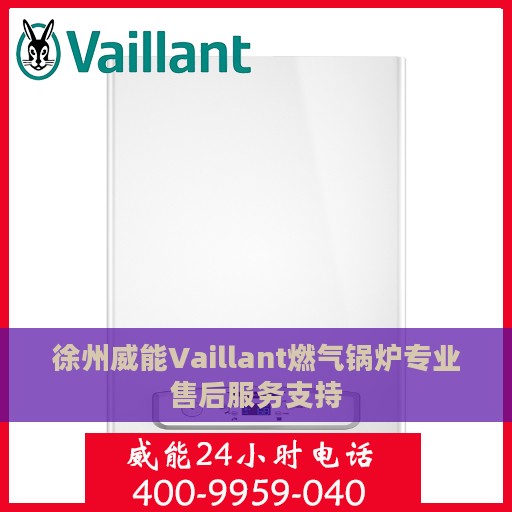 徐州威能Vaillant燃气锅炉专业售后服务支持