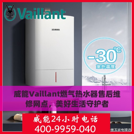 威能Vaillant燃气热水器售后维修网点，美好生活守护者