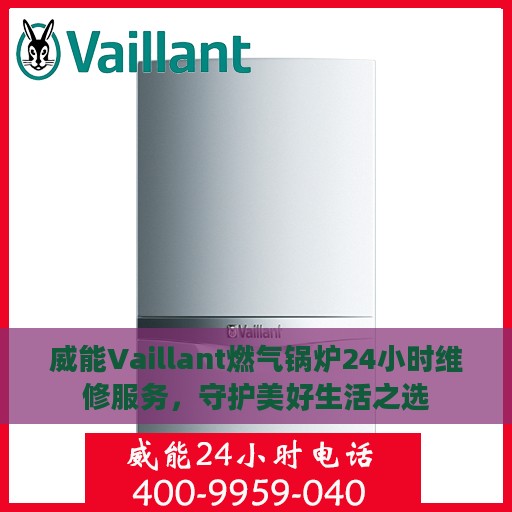 威能Vaillant燃气锅炉24小时维修服务，守护美好生活之选