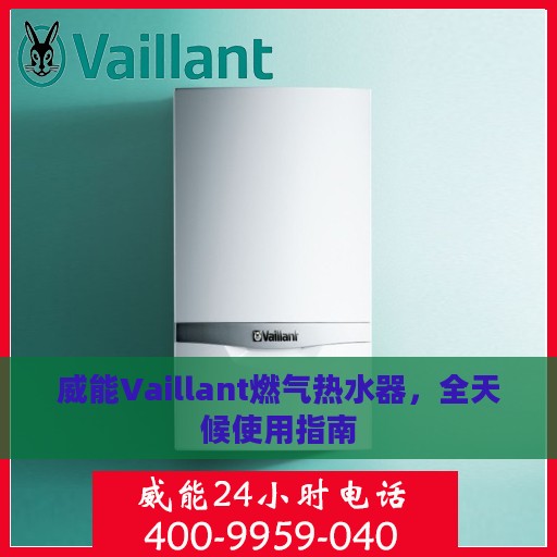 威能Vaillant燃气热水器，全天候使用指南