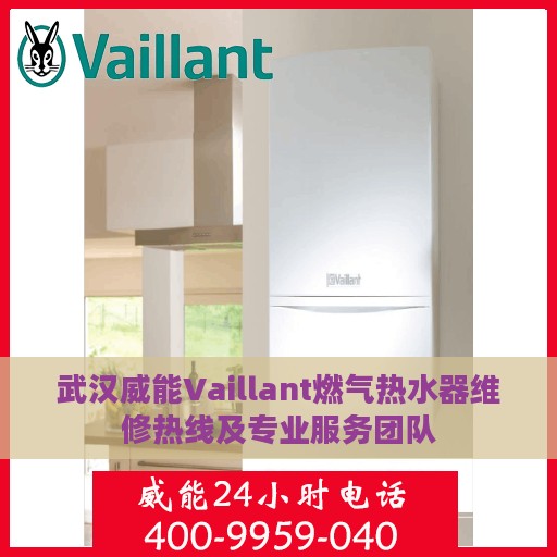 武汉威能Vaillant燃气热水器维修热线及专业服务团队