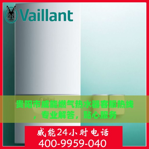 贵阳市威能燃气热水器客服热线，专业解答，贴心服务