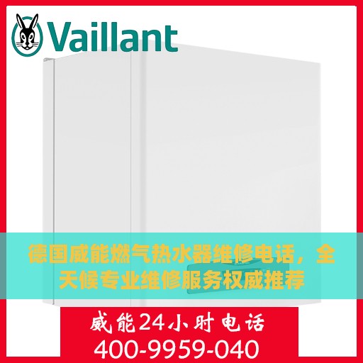 德国威能燃气热水器维修电话，全天候专业维修服务权威推荐