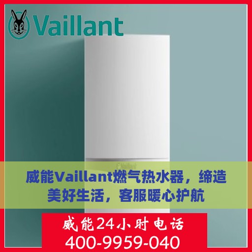威能Vaillant燃气热水器，缔造美好生活，客服暖心护航
