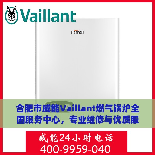 合肥市威能Vaillant燃气锅炉全国服务中心，专业维修与优质服务并行