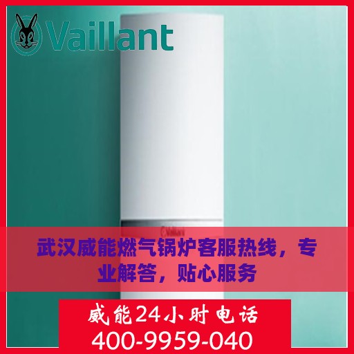 武汉威能燃气锅炉客服热线，专业解答，贴心服务