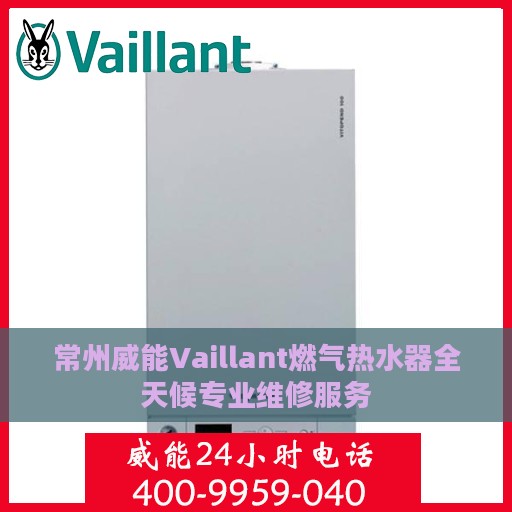 常州威能Vaillant燃气热水器全天候专业维修服务