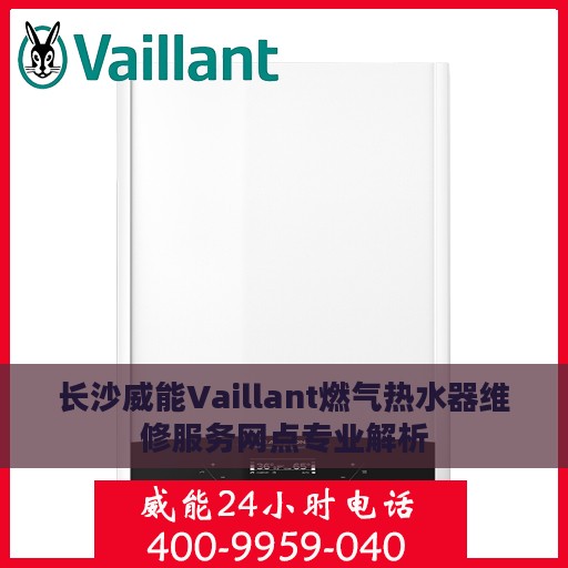 长沙威能Vaillant燃气热水器维修服务网点专业解析