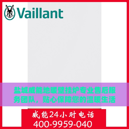 盐城威能地暖壁挂炉专业售后服务团队，贴心保障您的温暖生活