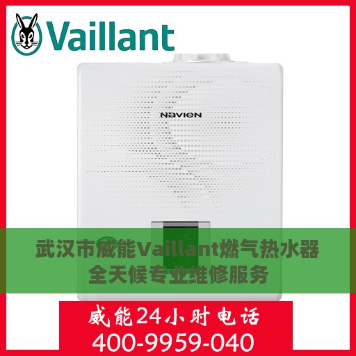 武汉市威能Vaillant燃气热水器全天候专业维修服务